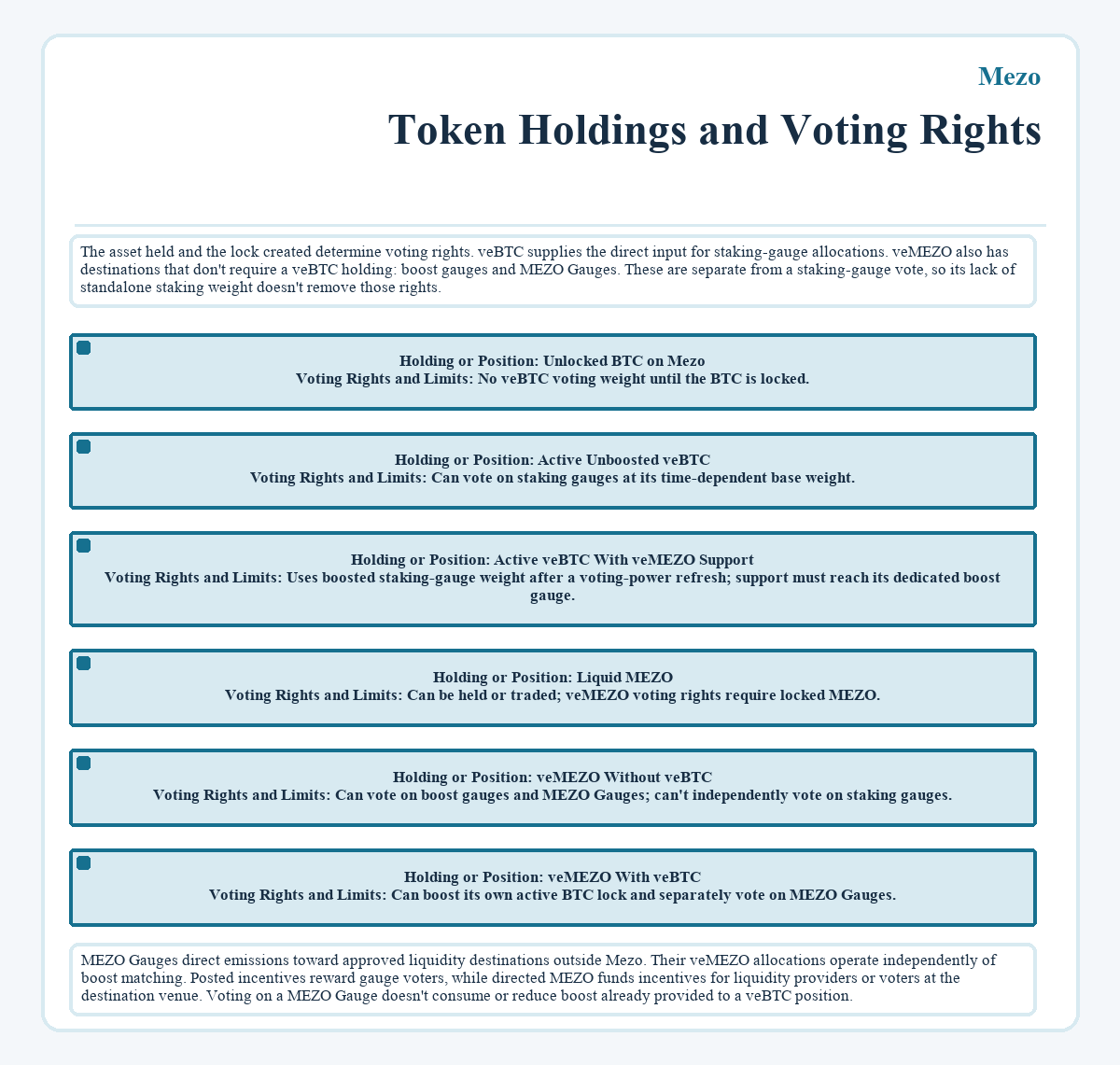 Mezo: Token Holdings and Voting Rights - diagram